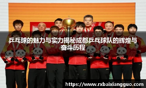 乒乓球的魅力与实力揭秘成都乒乓球队的辉煌与奋斗历程