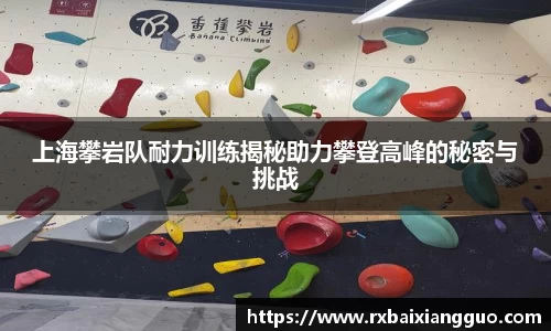 上海攀岩队耐力训练揭秘助力攀登高峰的秘密与挑战